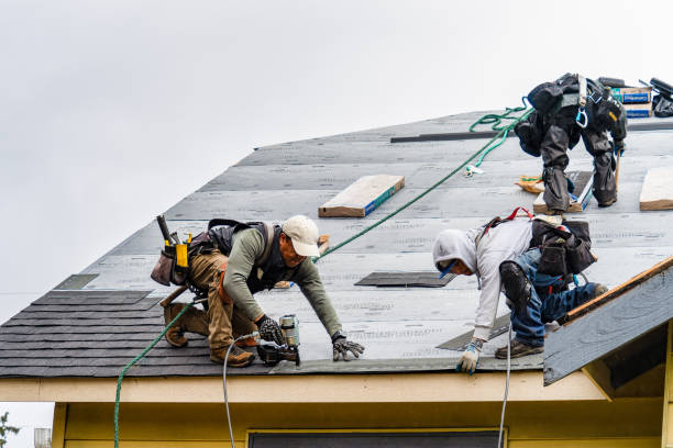 Professional Gutter Installation technician working in Gibbon, MN